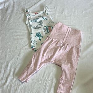 Newborn Carter’s and Petit Lem summer set